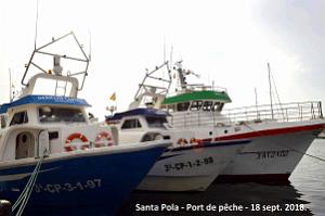 11 SANTA POLA PORT DE PECHE (129)
